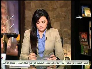 فيديو تصريحات الحرية والعدالة عن التوافق فى اختيار تأسيسية الدستور