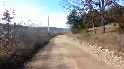 Goats Join Man for a Run