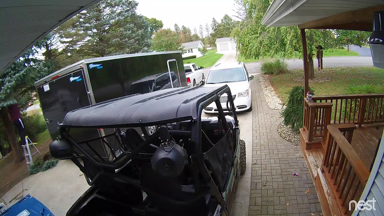 Tree Trimming Ladder Fail