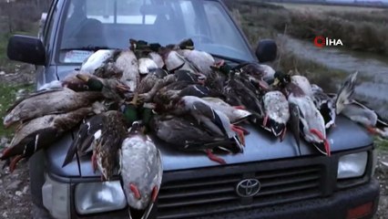 - Kuş Cenneti'nde ördek katliamı