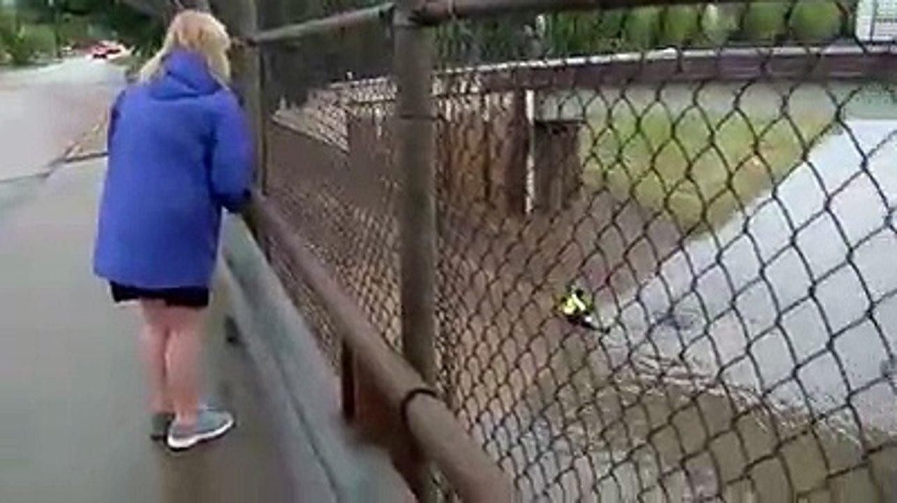 amazing best video ever