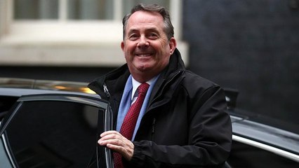 Liam Fox admite que o 'Brexit' pode não acontecer