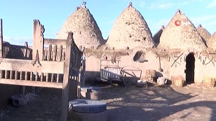2019 Yılının "Göbeklitepe Yılı" Seçilmesi Harran'da da Büyük Sevince Neden Oldu
