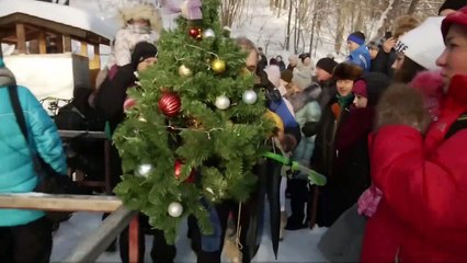 Crazy! Divers uphold bizarre Xmas tradition in icy lake