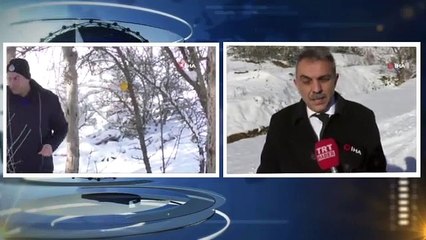 Bu Meyveler Kuşlar İçin