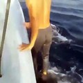 Un touriste grimpe sur le dos d'un requin baleine
