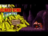 Donkey Kong Country | Part 7 (finale) | ELONGATED BOSS BATTLES