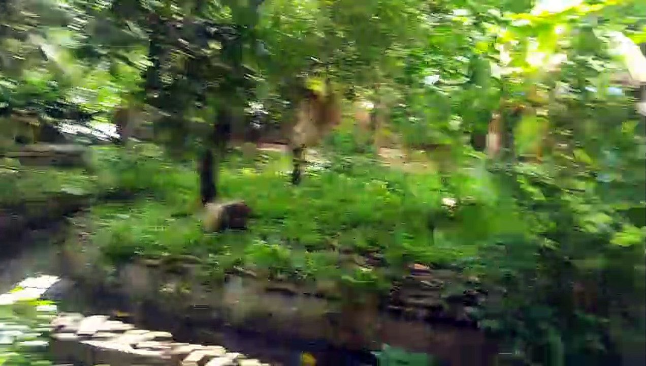 Cambodia #18