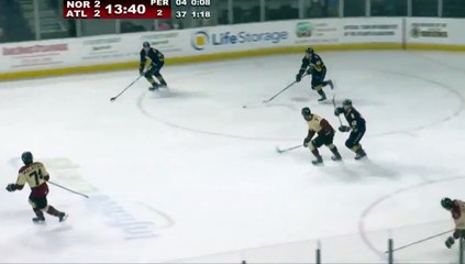 ECHL Norfolk Admirals 4 at Atlanta Gladiators 2