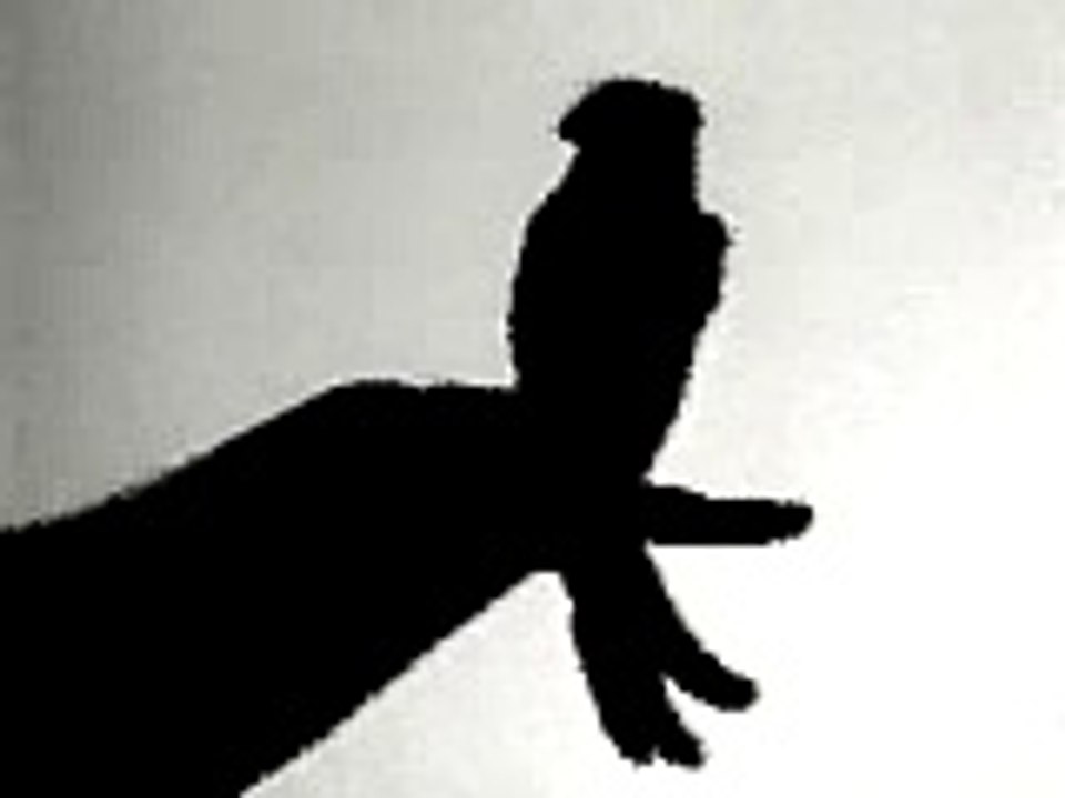 حركات بالظل,Movements in shadow