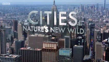 Cities Natures New wild S01E01 Residents (2019) Documentary.Series