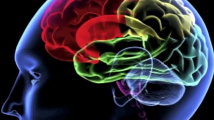 Quantenphysik_ Bewußtsein und Unterbewußtsein Ulrich Warnke, #schonBewusst