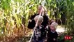 Our Little Family: Navigating a Corn Maze Hamill Style