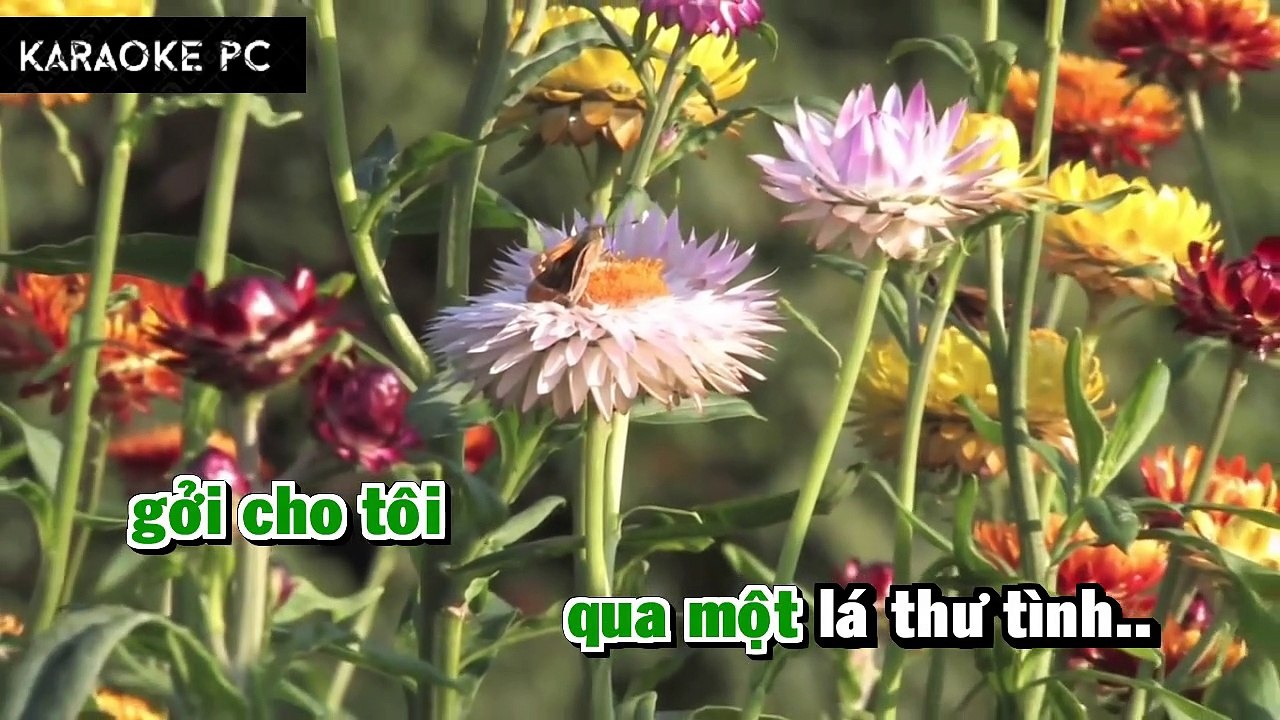 Karaoke Tân Cổ Mãi Cho Em Mùa Xuân - Ngọc Huyền, Kim Tử Long