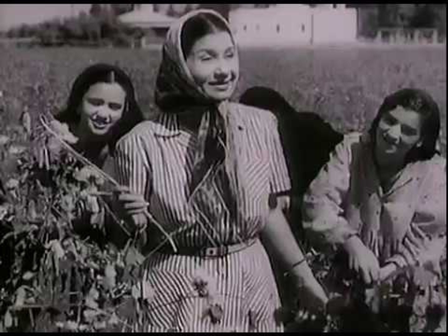 فيلم عايدة