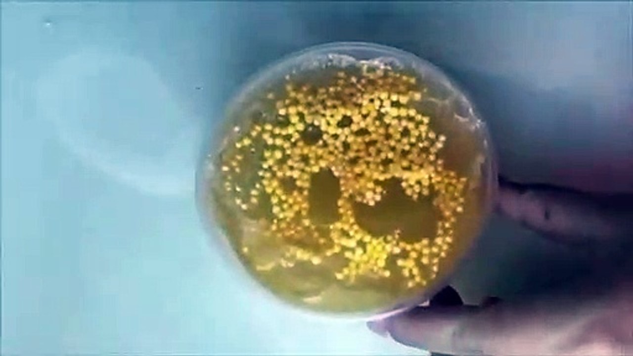 Relaxing Slime
