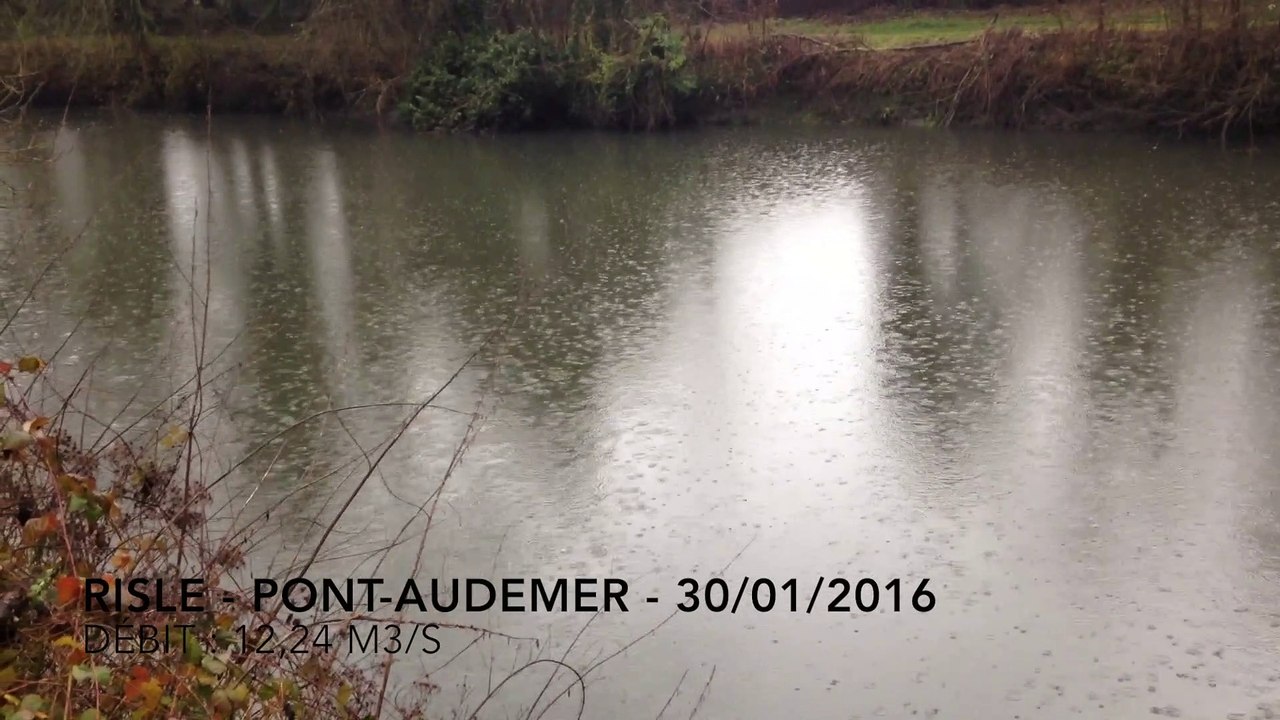 Risle - Saint-Mards-de-Blacarville  - 30/01/2016