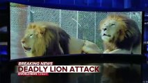 Lion Kills 22-Year-Old Intern After Escaping From Animal Center