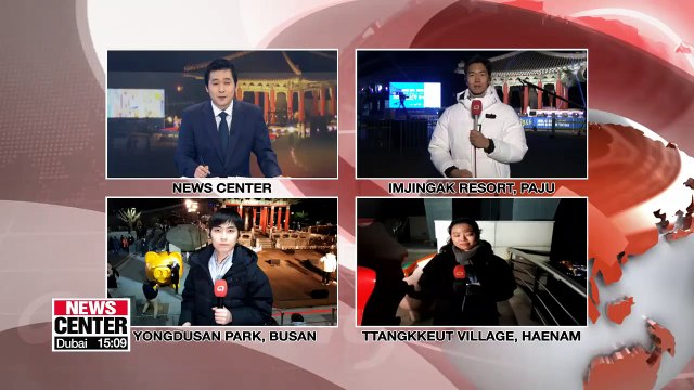 Closer look at pigs, celebrating the Year of the Golden Pig in 2019