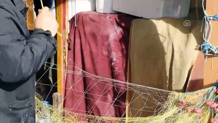 Balıkçılar yeni yılda hamsiye ağ atacak - TEKİRDAĞ