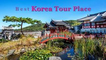Best Korea Trip - Driver Guide Korea