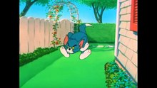 tom and jerry cartoon_ توم وجيري