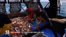 Saint-Jacques : les coquilles ont aussi leur label