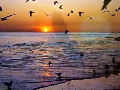 ABDULBAKİ KÖMÜR-YUSUF