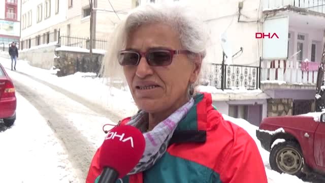 Gümüşhane İki Şehirde, Sokak Hayvanları Tüfekle ve Zehirlenerek Öldürüldü