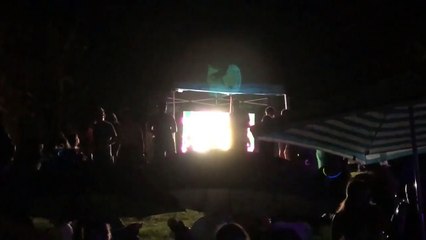 Australianos en New Year’s Eve 2019 Sydney Australia