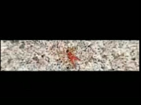 Video Superbus - Travel The World