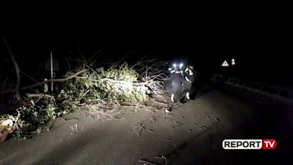 Report TV - Rrëzohet pema në aksin Tepelenë - Gjirokastër