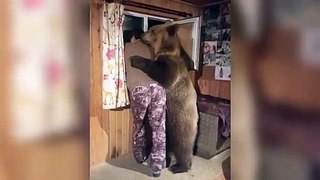 man's reaction as bear walks around his house and does THIS