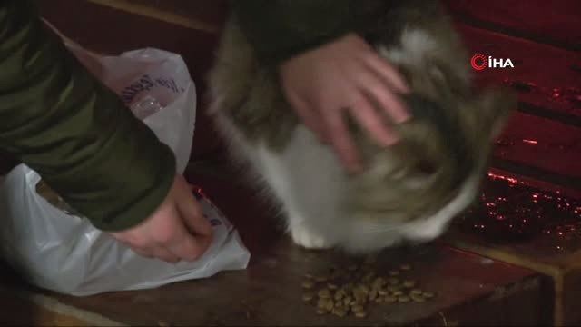 Üniversite Öğrencisi Gençler Yılbaşını Sokak Hayvanları ile Geçirdi