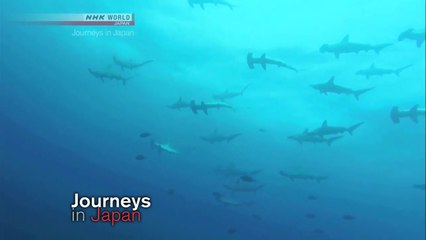 [sub] Journeys in Japan; Minami-izu; Unspoiled Seaside Getaway
