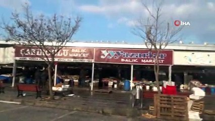 Martıların balık kapma mücadelesi