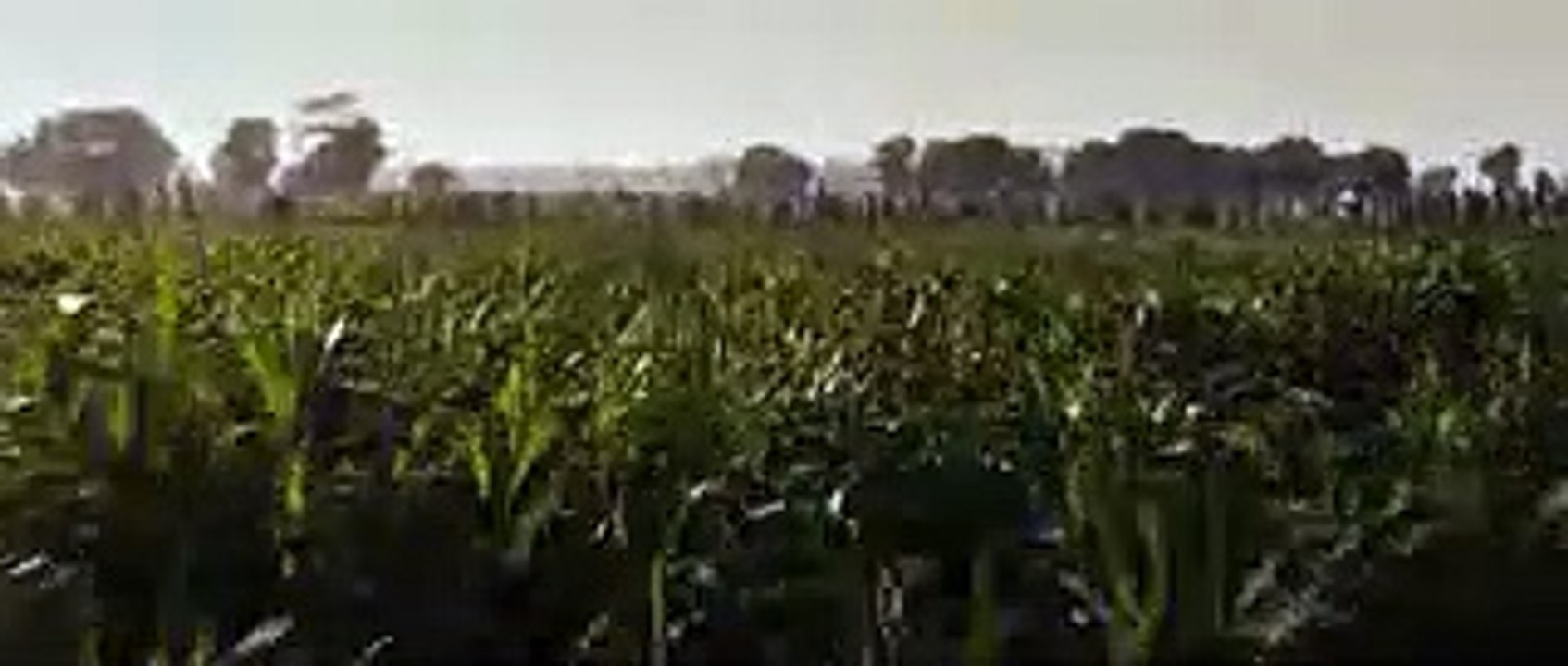 The Legend of Maula Jatt (2019) - Official First Look Trailer_low