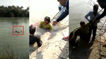 गंगनहर में महिला ने लगाई छलांग, सिपाही ने जान पर खेलकर बचाया, देखिए वीडियो