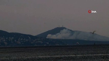 Adalar'da  yangın çıktı, olay yerine çok sayıda itfaiye ekibi sevk edildi