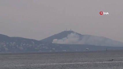 Adalar'da Yangın Çıktı, Olay Yerine Çok Sayıda İtfaiye Ekibi Sevk Edildi