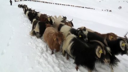 Besicilerin zorlu yolculuğu - MUŞ