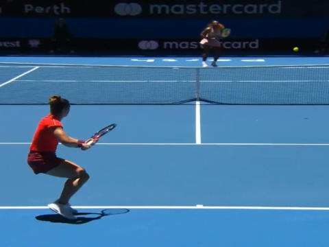 تنس: كأس هوبمان: فوز سيرينا لم يقف حائلا دون سقوط الولايات المتّحدة أمام اليونان