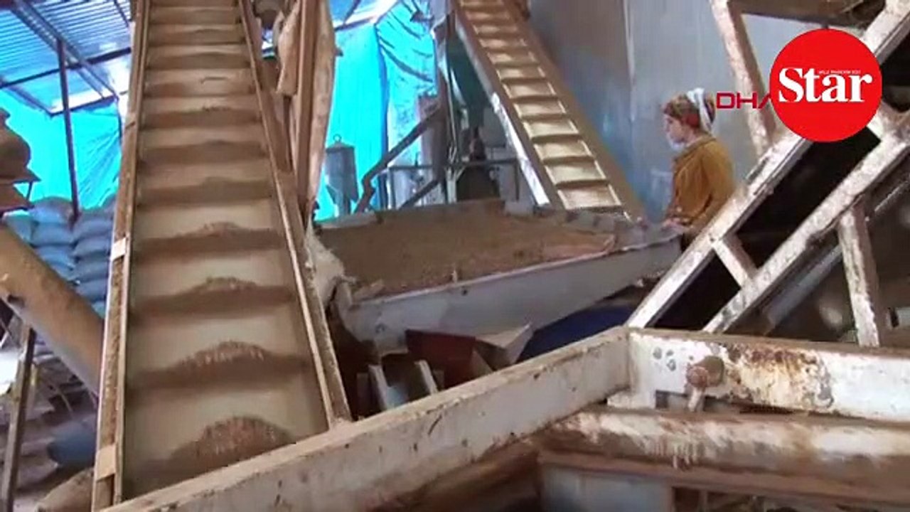 Kayısı çekirdeği tankların zırhını da koruyor