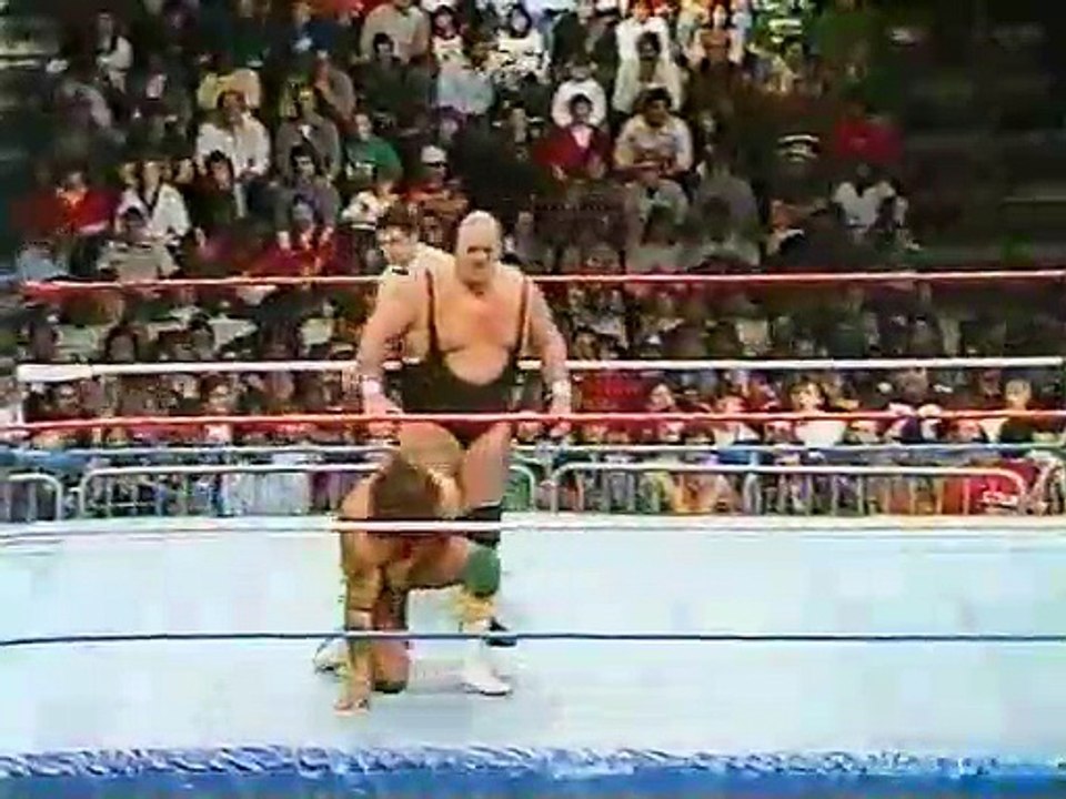 WWF Superstars 02 28 1987