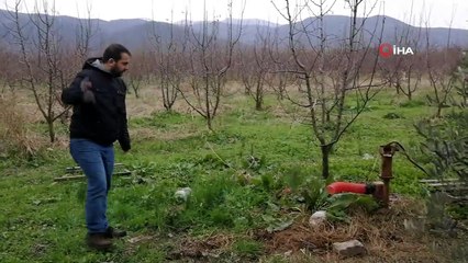 Çiftçinin alın terini çaldılar