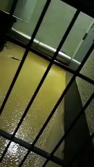 Allemagne : une usine déverse une tonne de chocolat sur la route