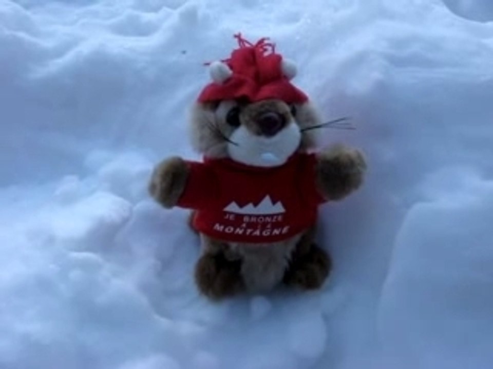 Vacances à la MOntagne