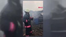 Büyükada'da Ormanlık Alanda Yangın 7