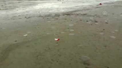 Marmaraereğlisi'nde Deniz Çekilmesi