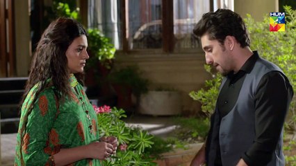 Lamhay Epi 19 HUM TV Drama 1 January 2019